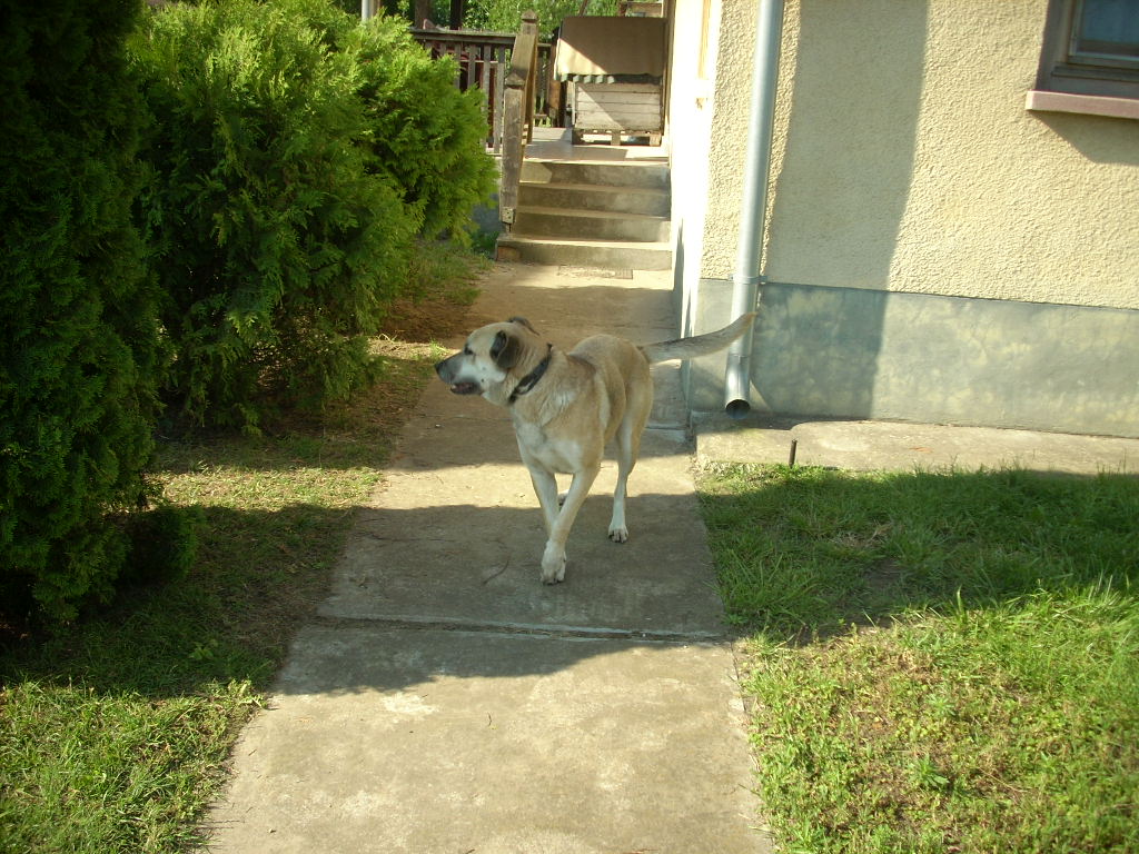 23-20140506judy7_0