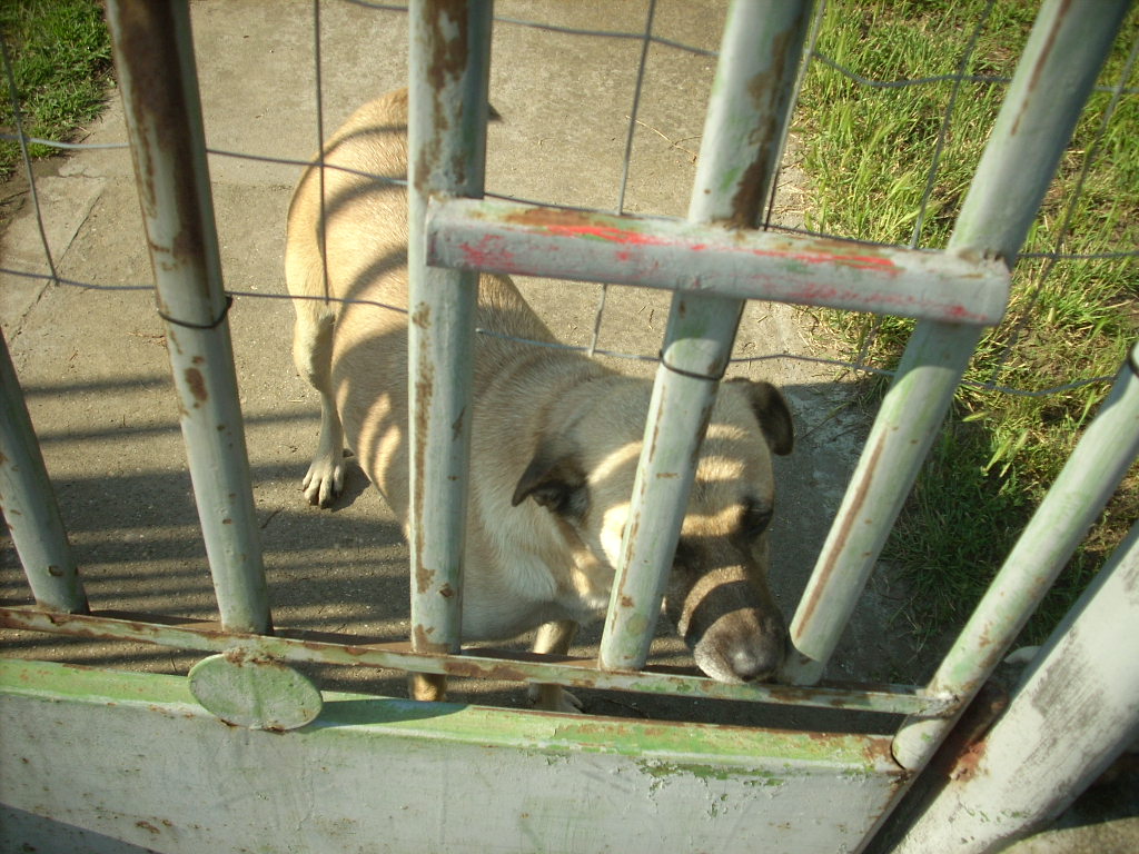 23-20140506judy8_0
