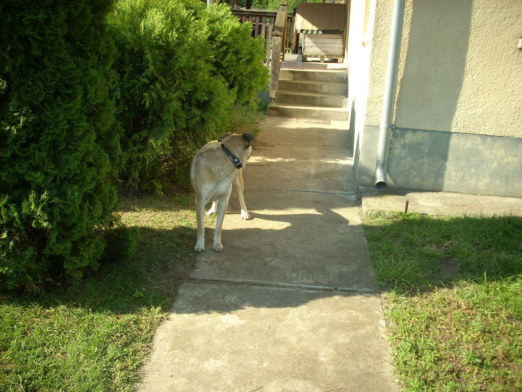 23-20140506judy9_0