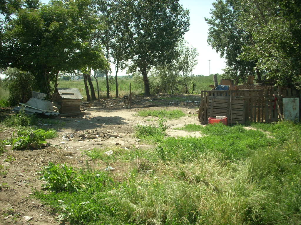 23-20140506likorgyar11_0