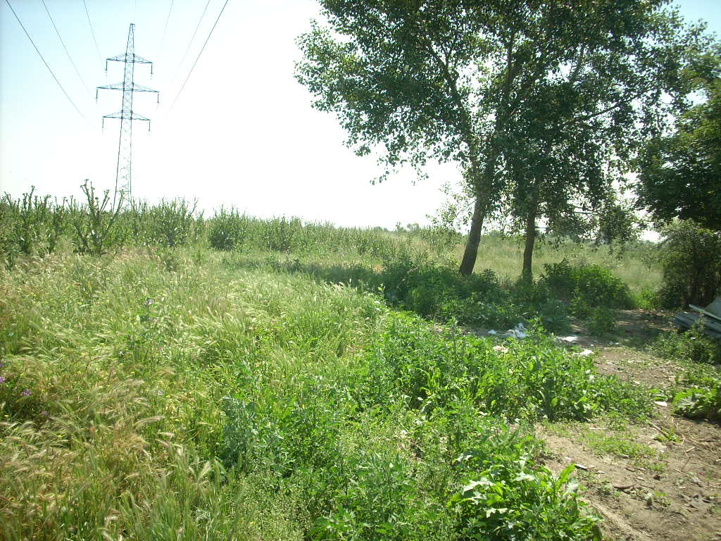 23-20140506likorgyar12_0