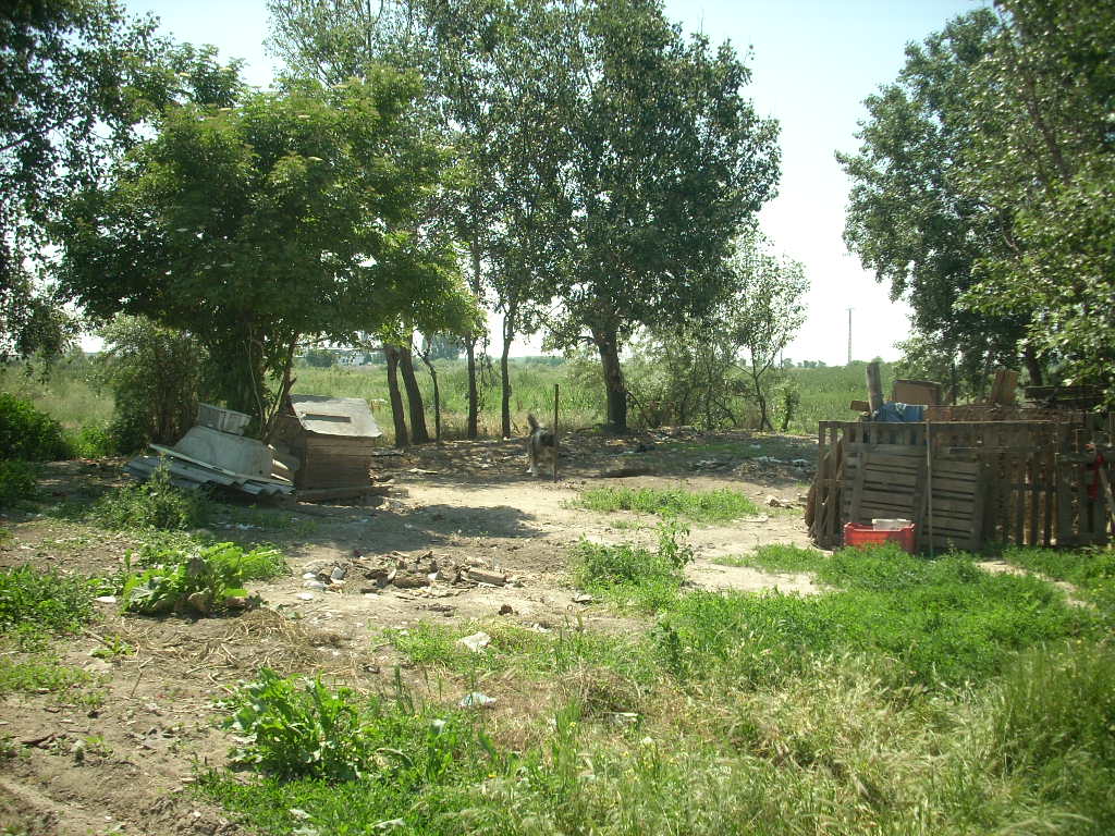 23-20140506likorgyar13_0