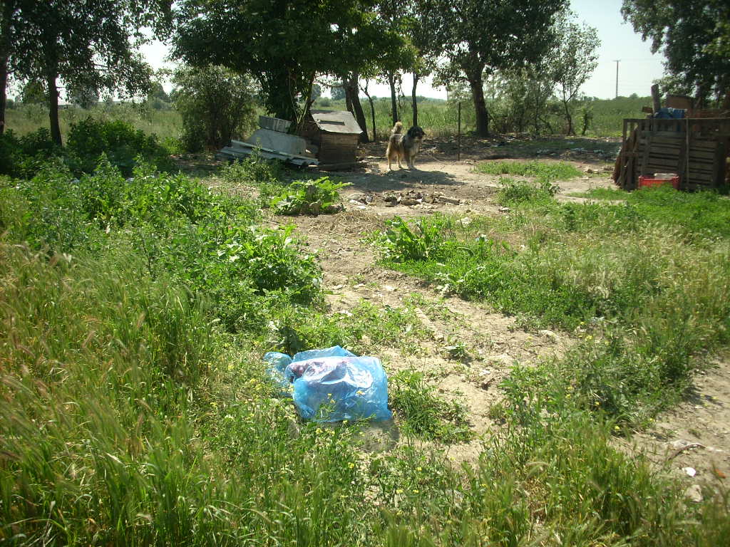 23-20140506likorgyar14_0