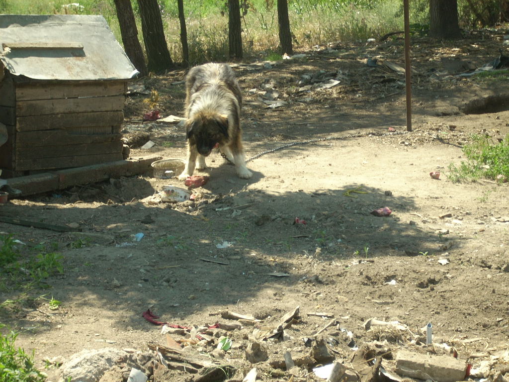 23-20140506likorgyar15_0