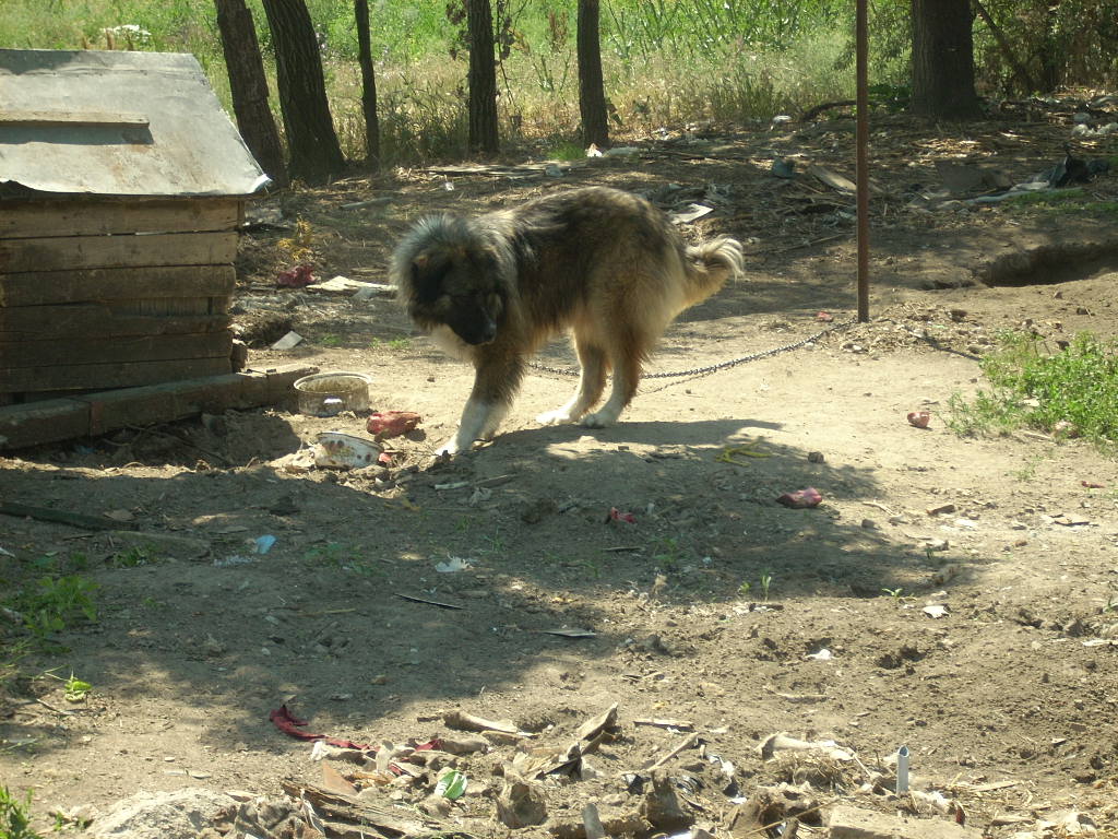 23-20140506likorgyar16_0