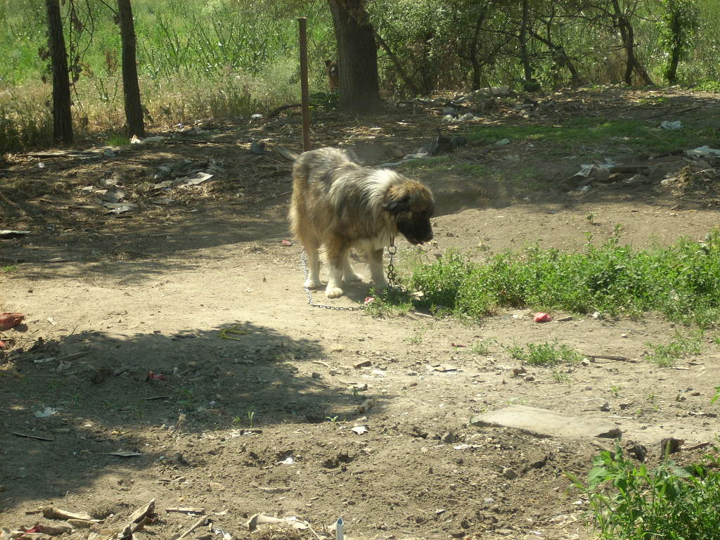 23-20140506likorgyar18_0