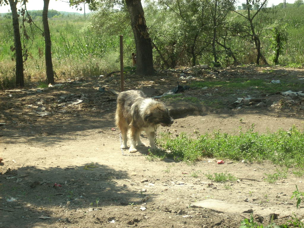23-20140506likorgyar19_0