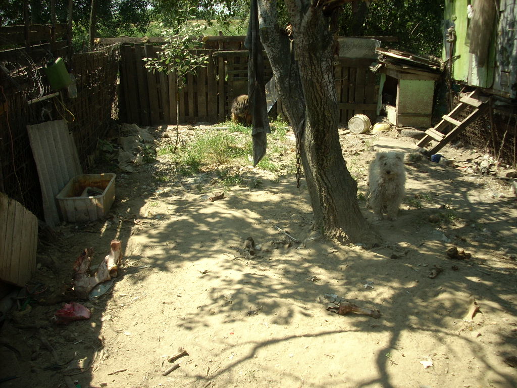 23-20140506likorgyar21_0