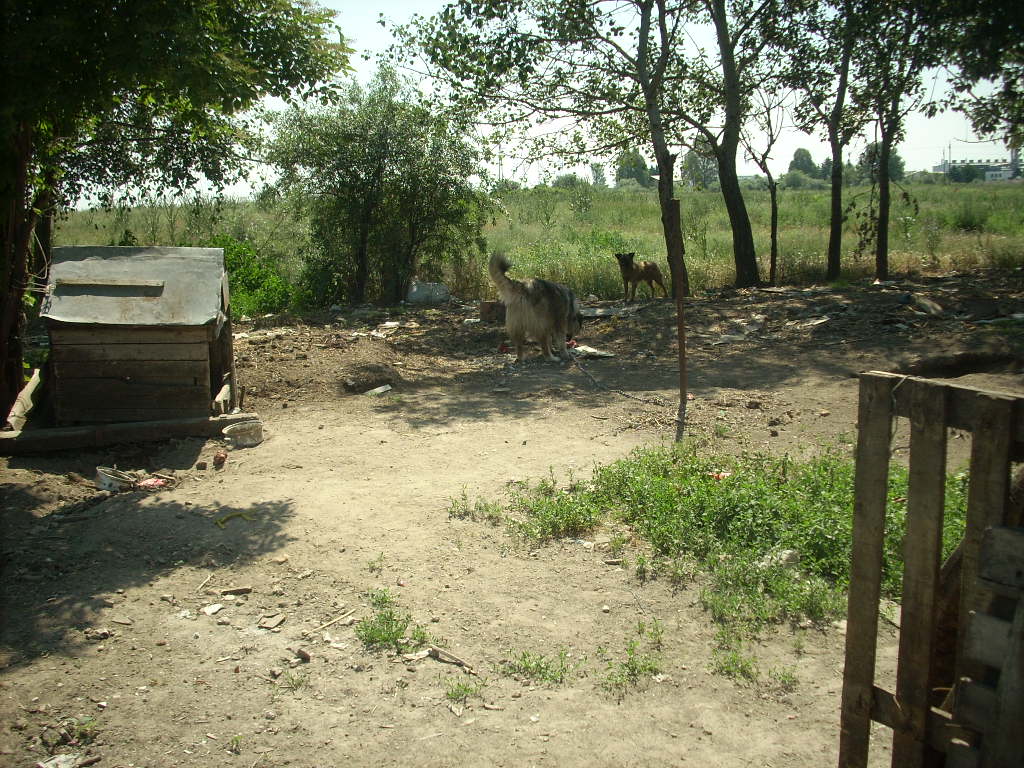 23-20140506likorgyar22_0