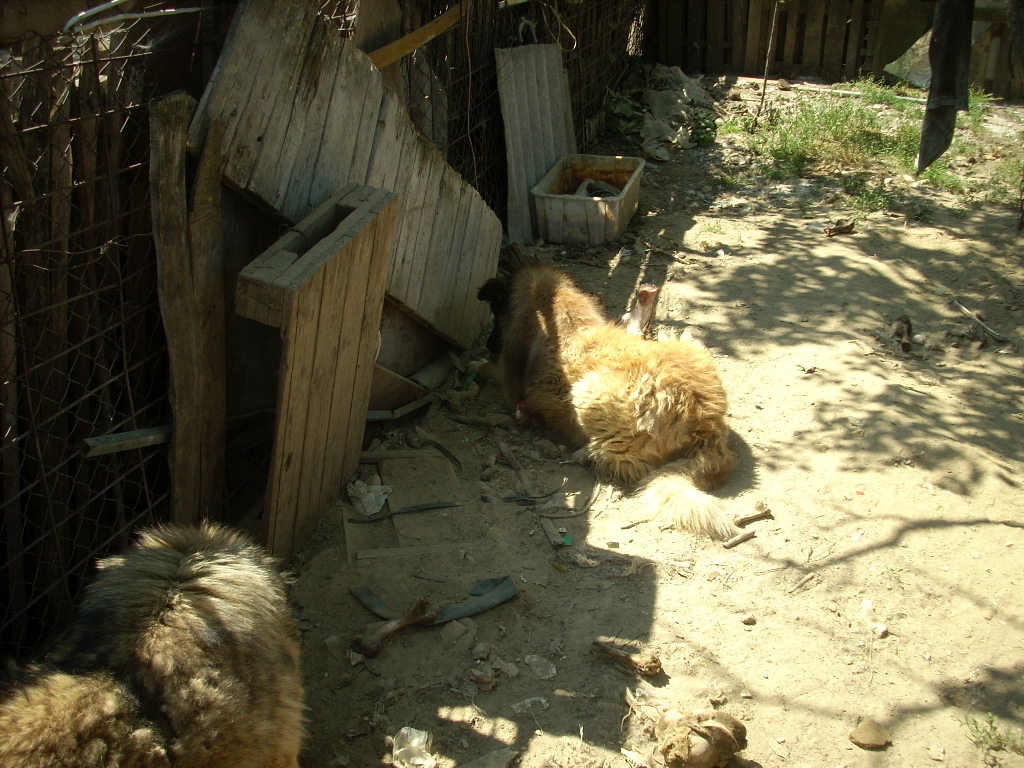 23-20140506likorgyar23_0