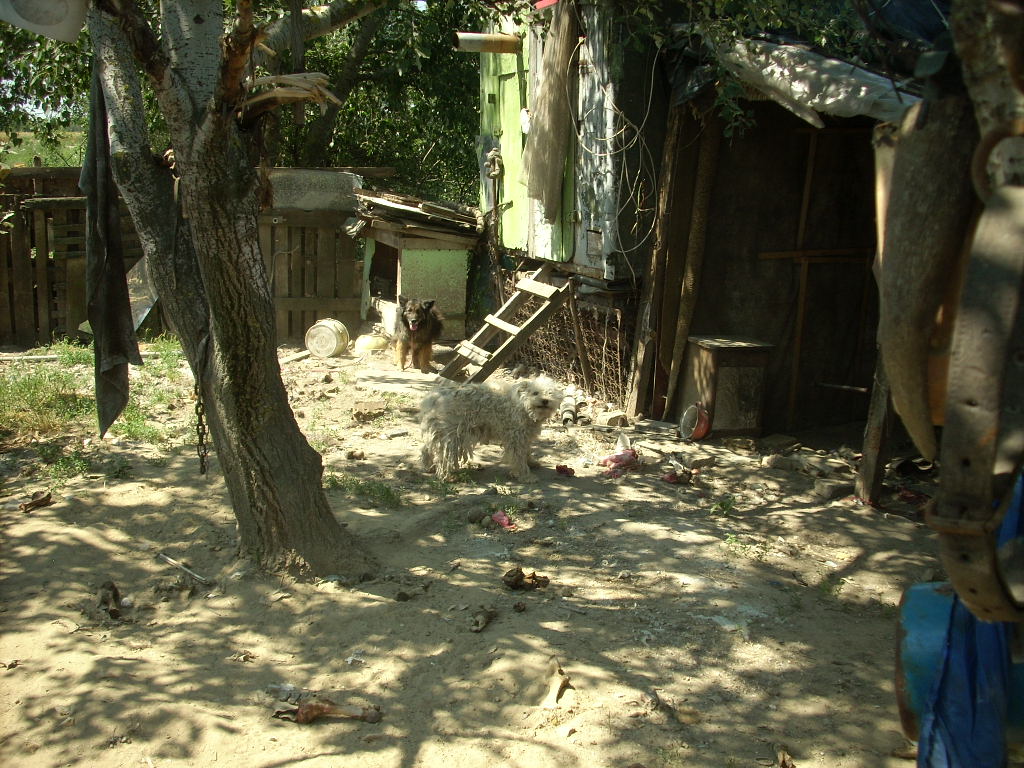 23-20140506likorgyar25_0