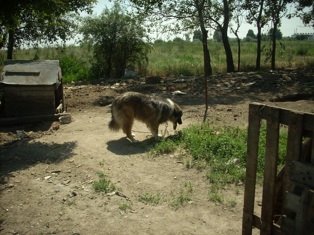 23-20140506likorgyar26_0