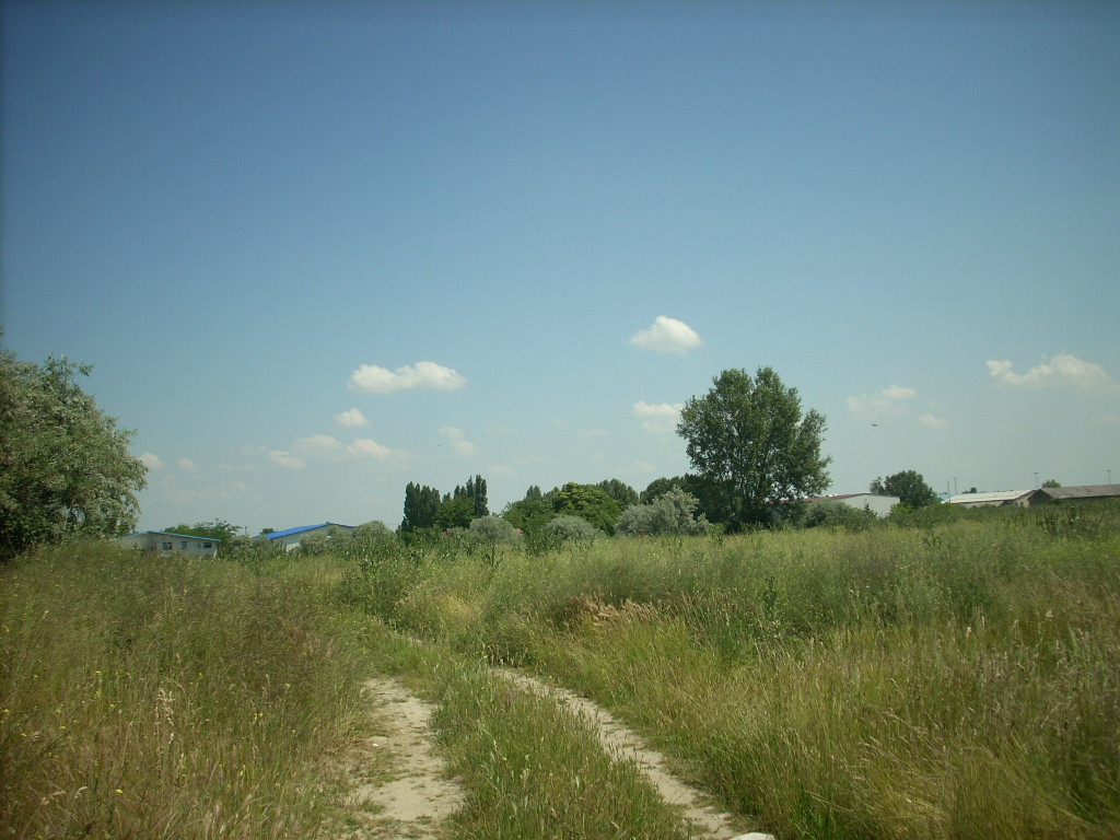 23-20140506likorgyar27_0