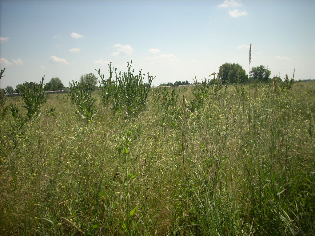 23-20140506likorgyar30_0