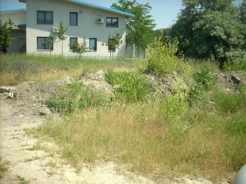 23-20140506likorgyar32_0