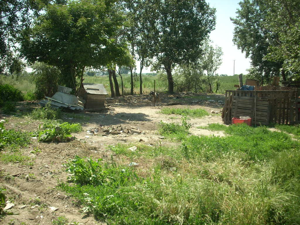 23-20140506likorgyar3_0