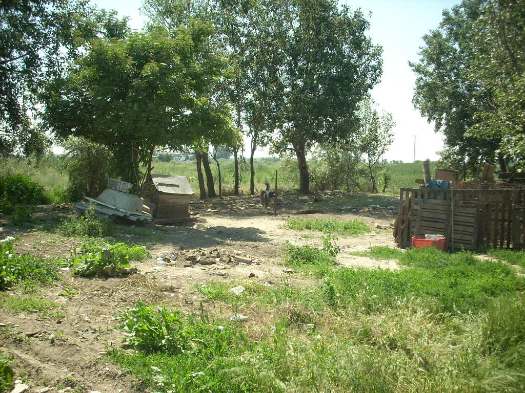 23-20140506likorgyar8_0