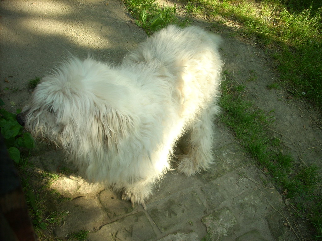 23-20140506pannika10_0