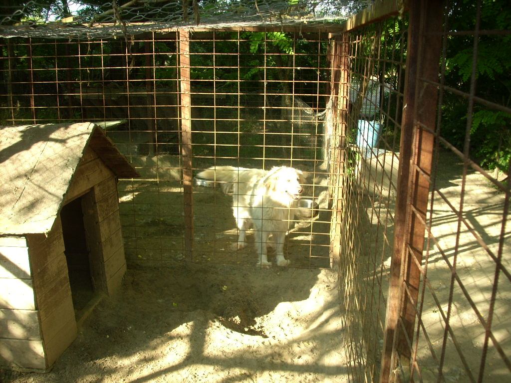 23-20140506pannika18_0