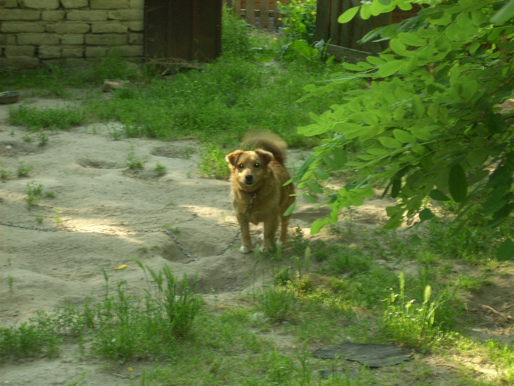23-20140506pannika7_0