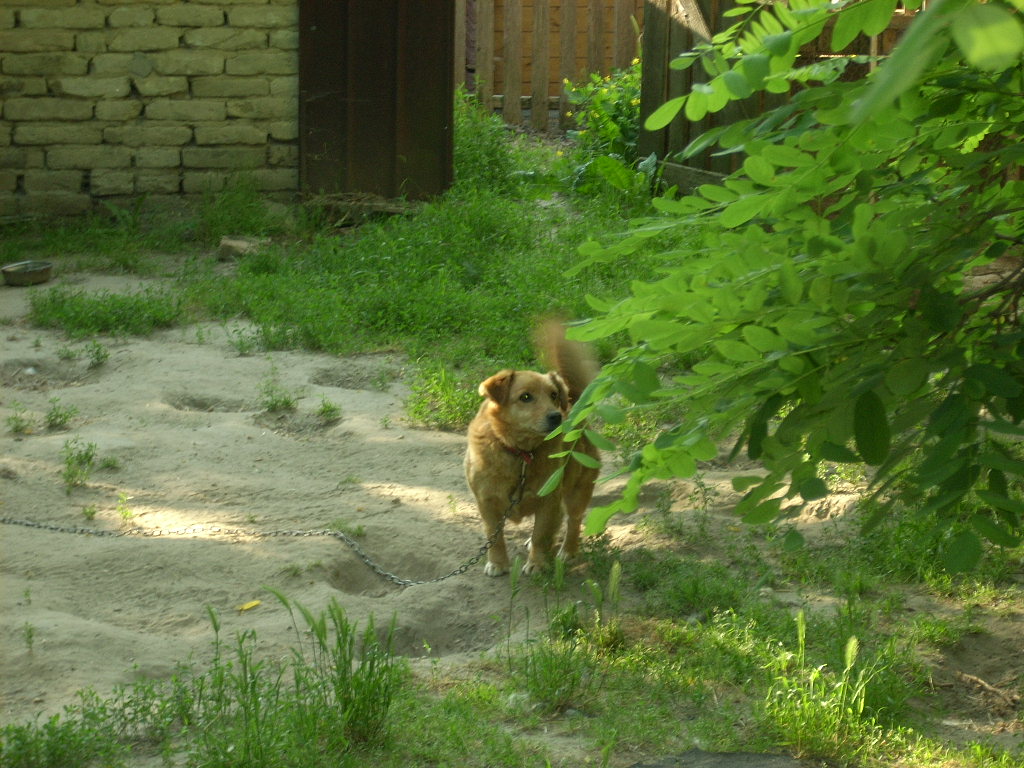 23-20140506pannika8_0