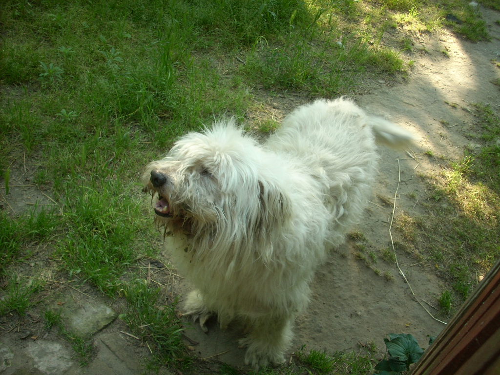 23-20140506pannika9_0