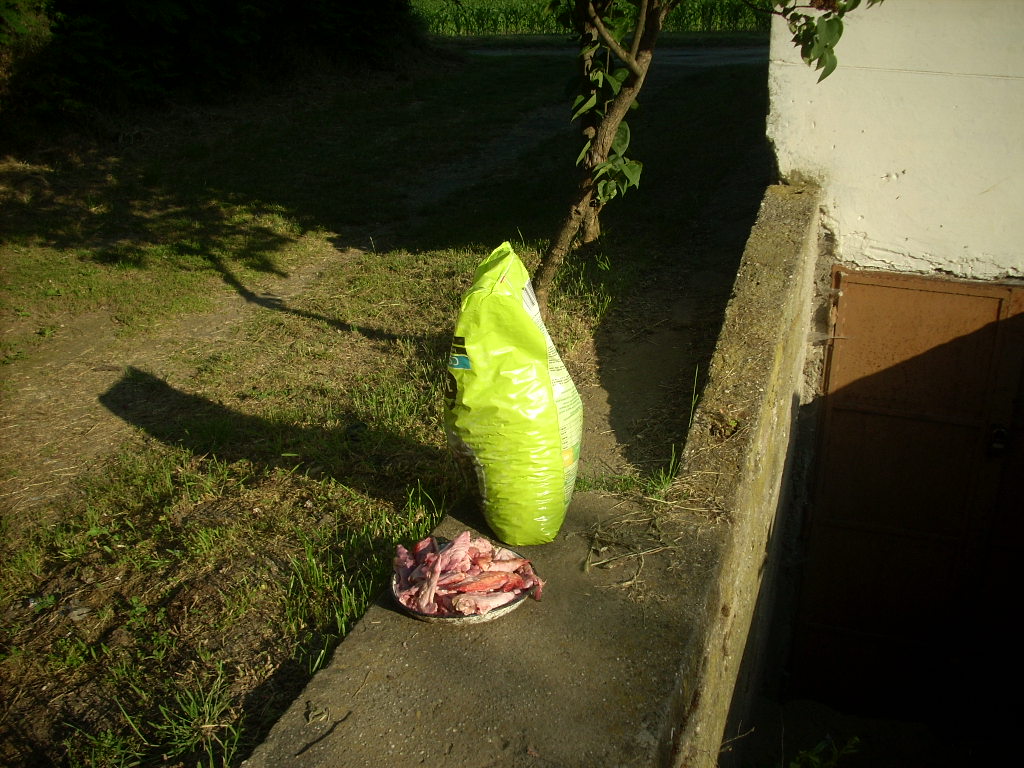 23-20140506tolokocsis0_0