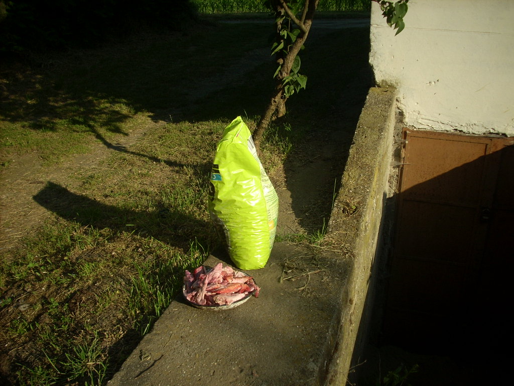 23-20140506tolokocsis1_0