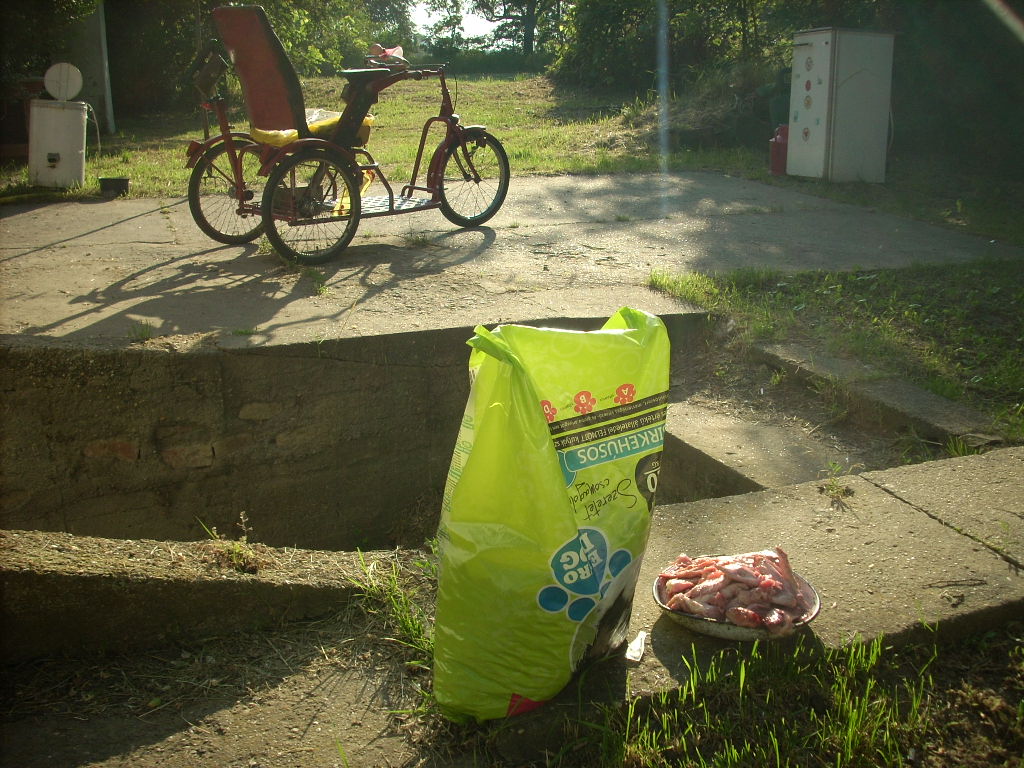 23-20140506tolokocsis3_0