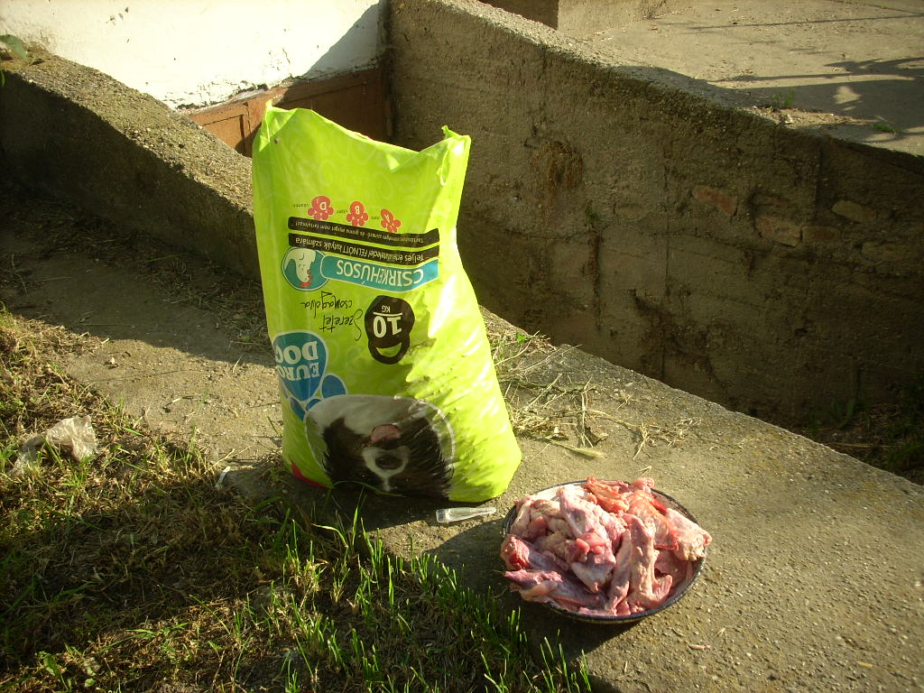 23-20140506tolokocsis7_0