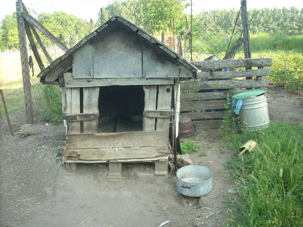 23-20140506torkves0_0
