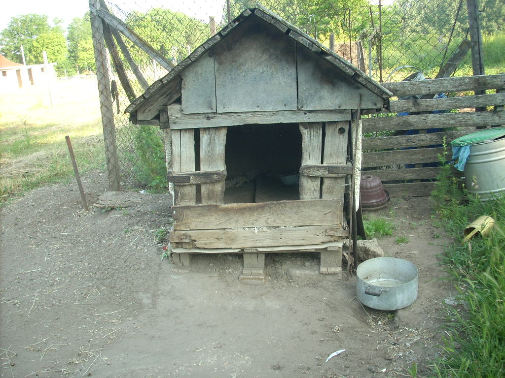 23-20140506torkves1_0