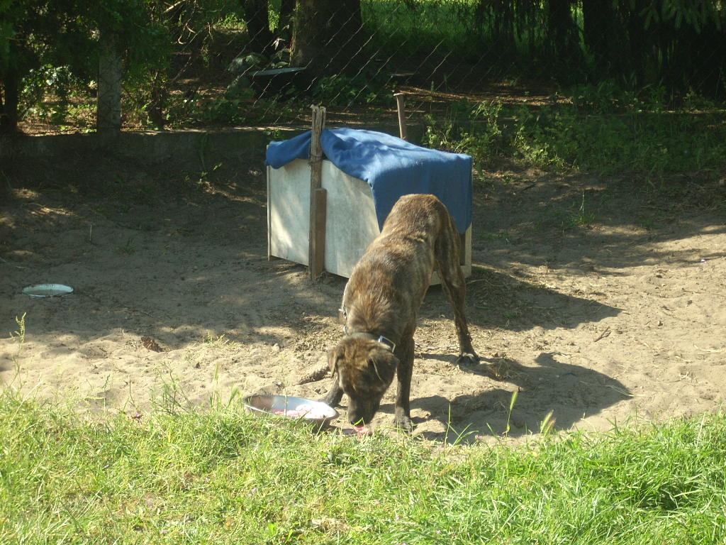 23-20140506varga10_0
