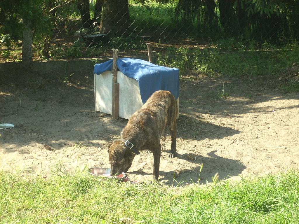 23-20140506varga12_0