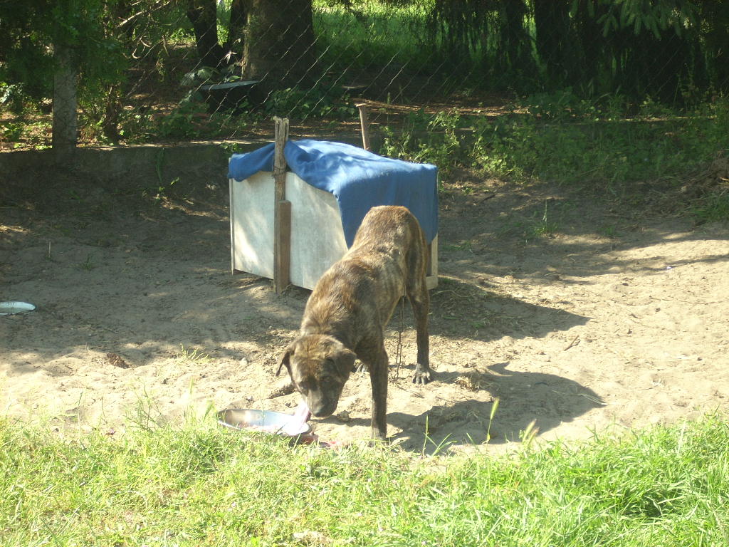 23-20140506varga13_0