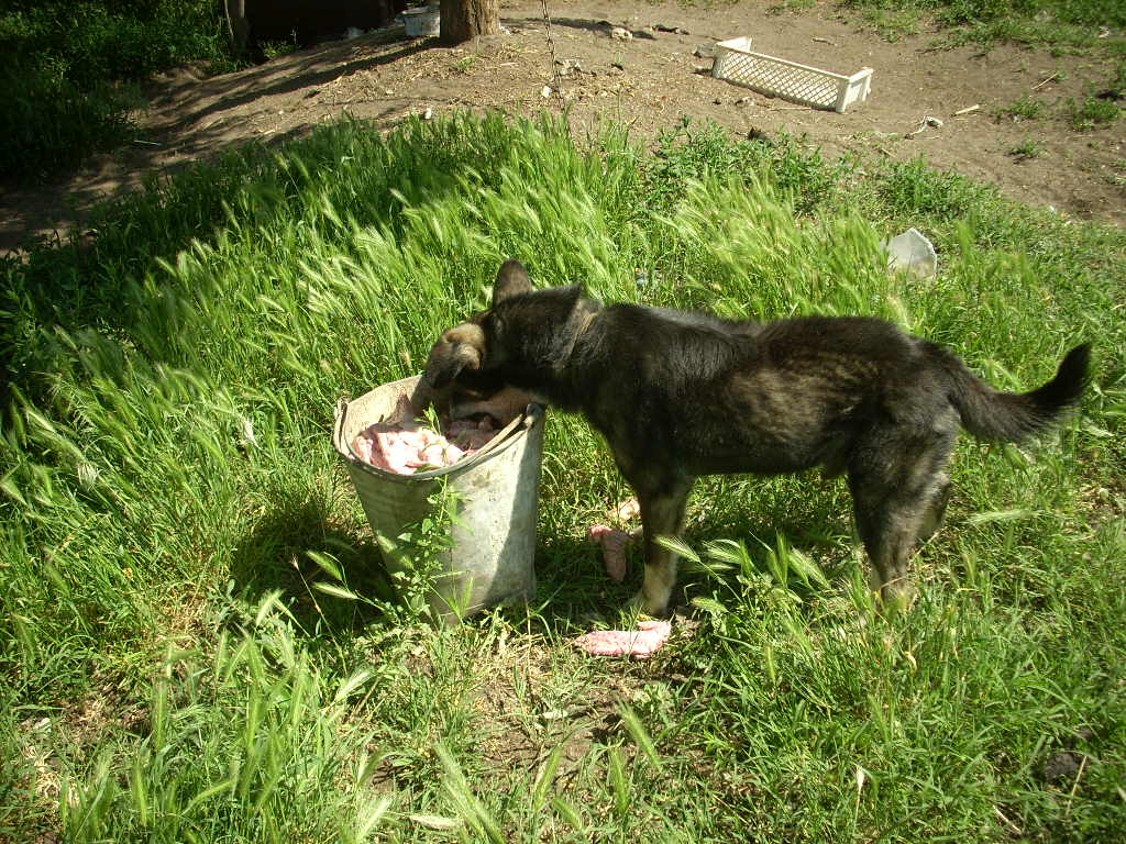 23-20140506varga20_0