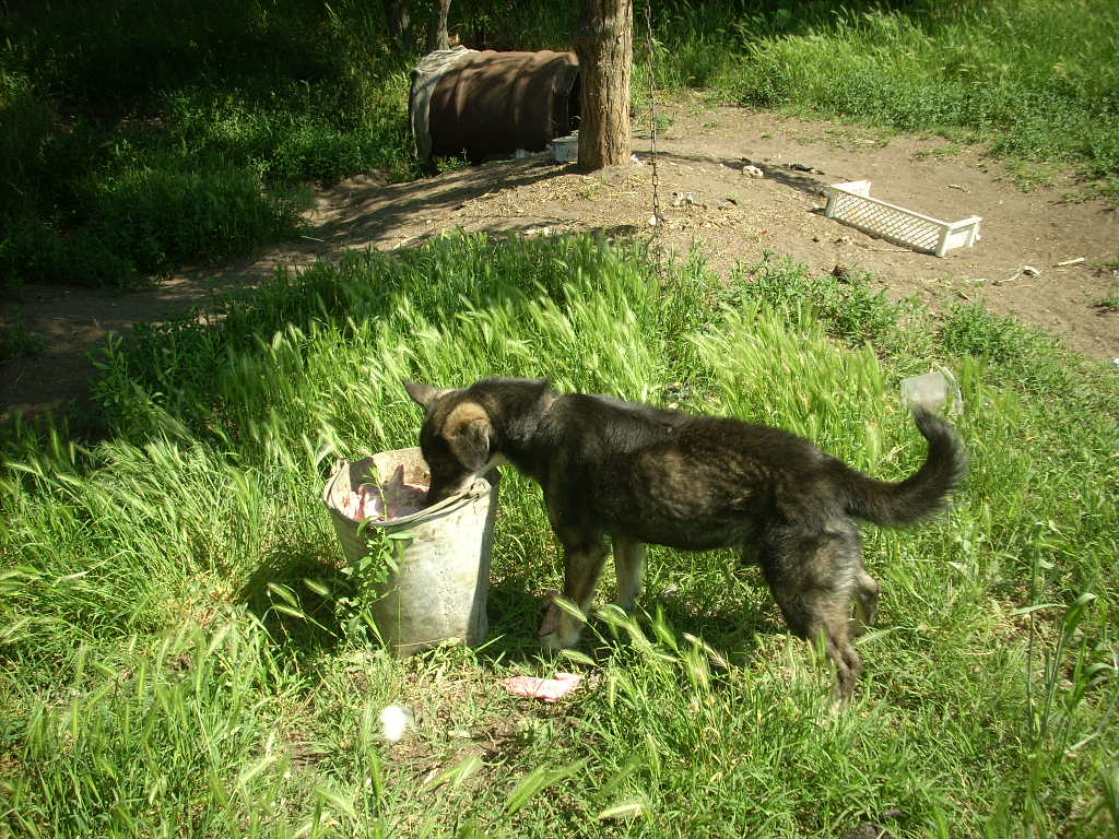 23-20140506varga23_0