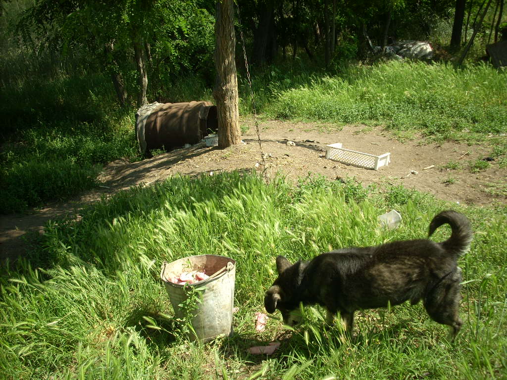 23-20140506varga26_0