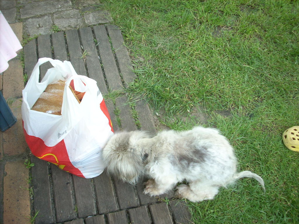 23-20140506varga3_0