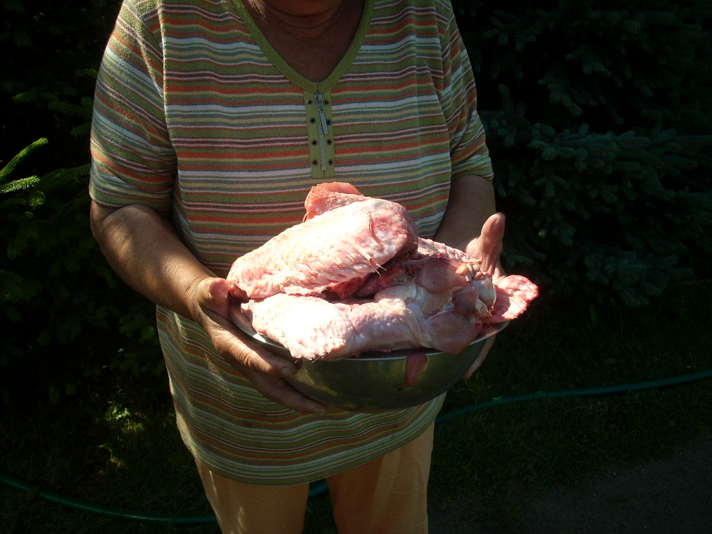 23-20140506varga6_0
