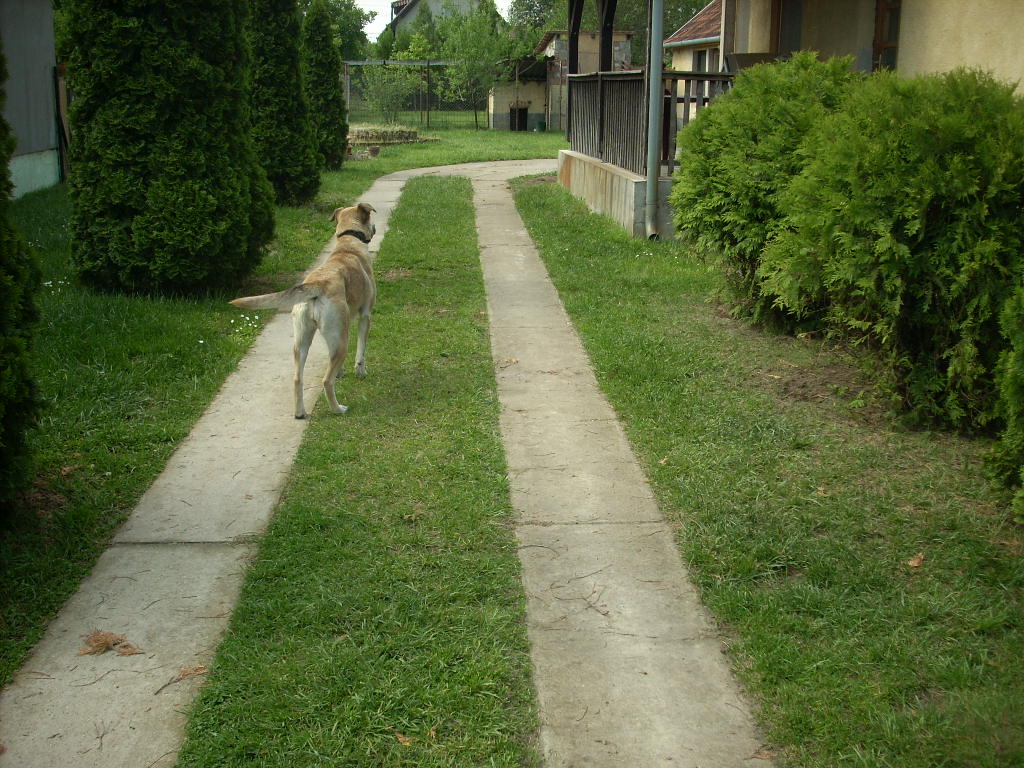 23-20140527heteny_judy0_0