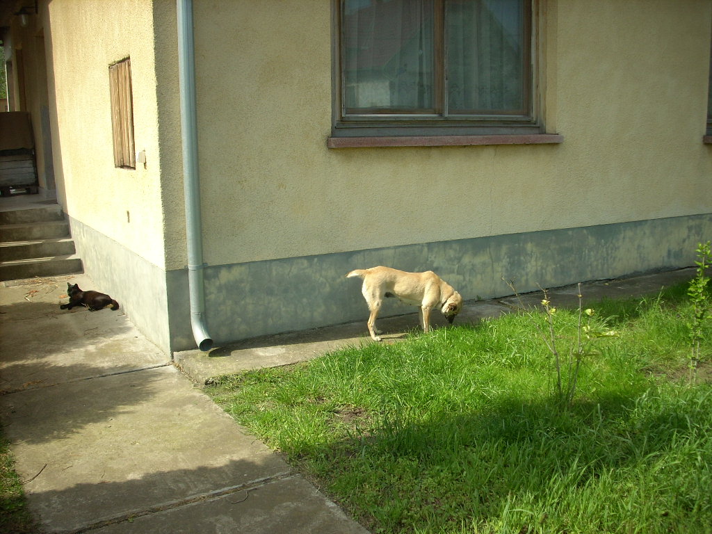 23-20140527heteny_judy13_0