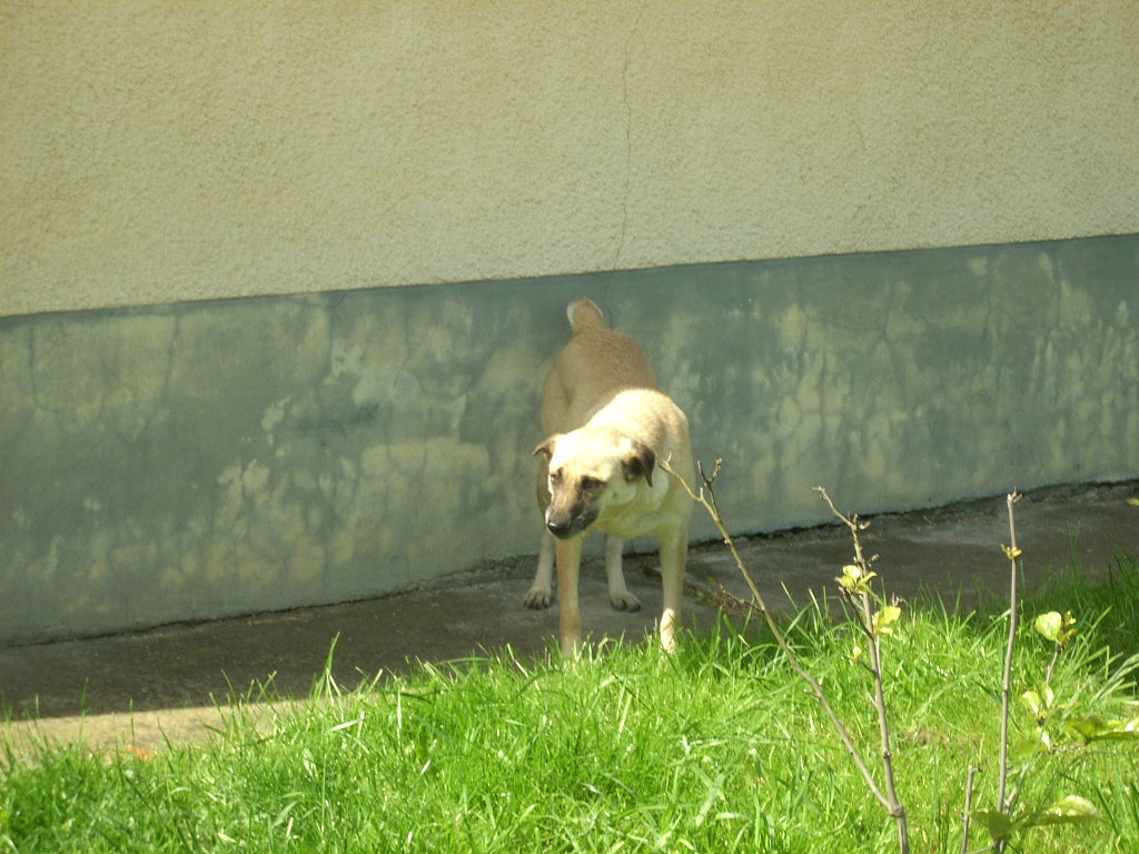 23-20140527heteny_judy14_0