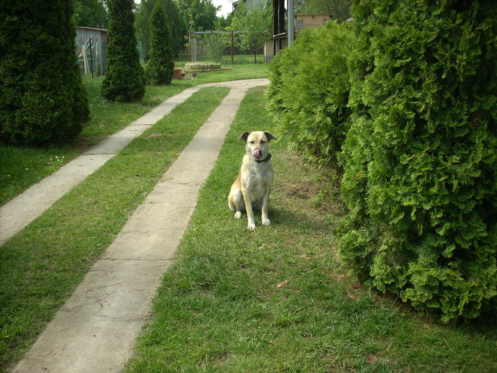 23-20140527heteny_judy1_0