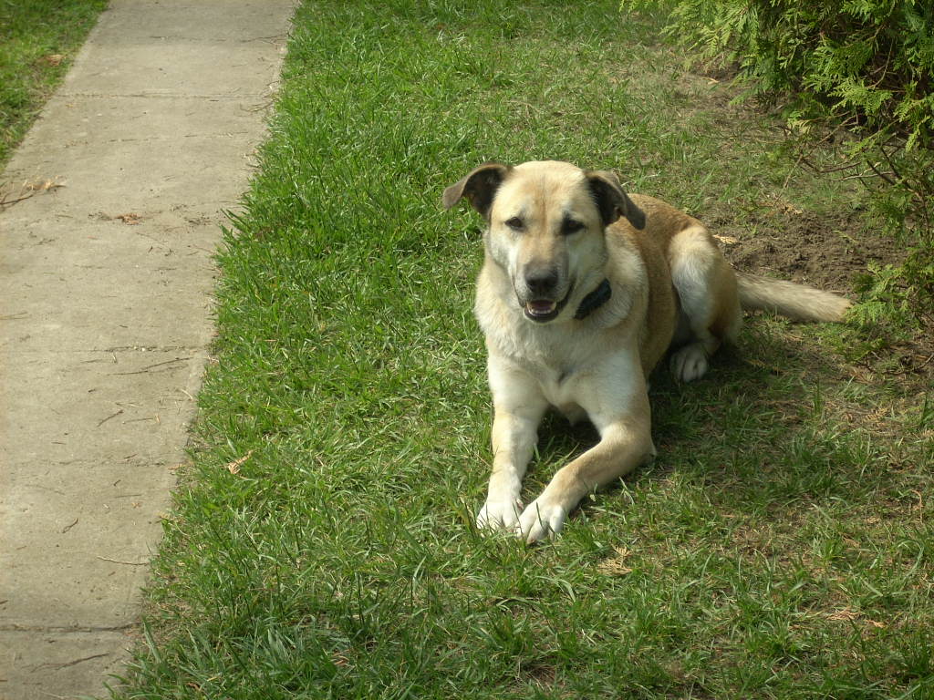 23-20140527heteny_judy4_0