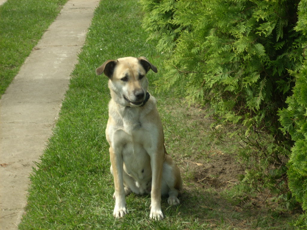23-20140527heteny_judy5_0