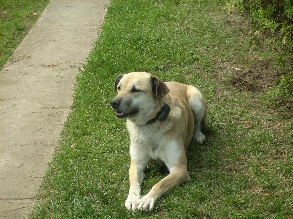 23-20140527heteny_judy7_0