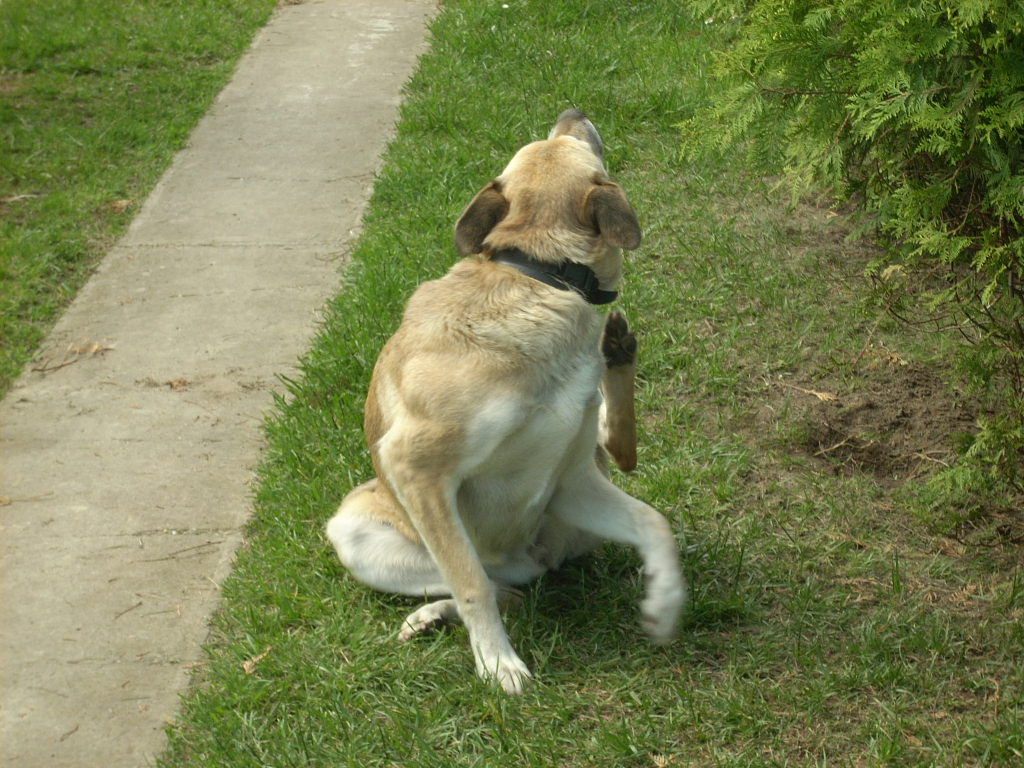 23-20140527heteny_judy8_0