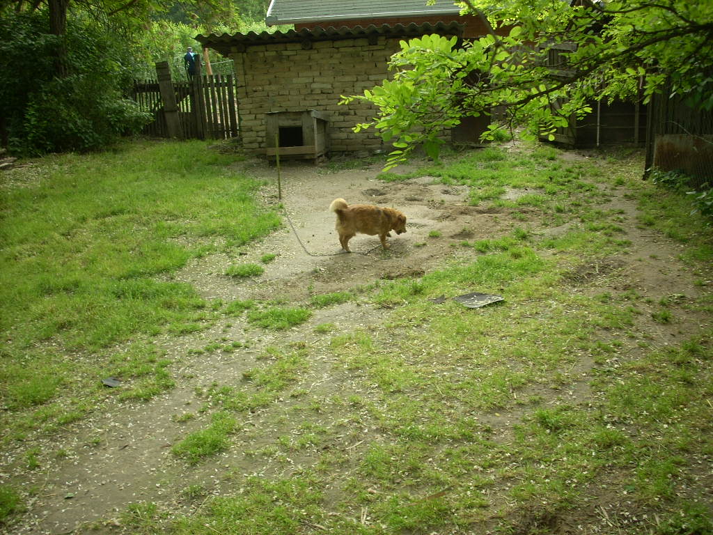 23-20140527pannika14_0