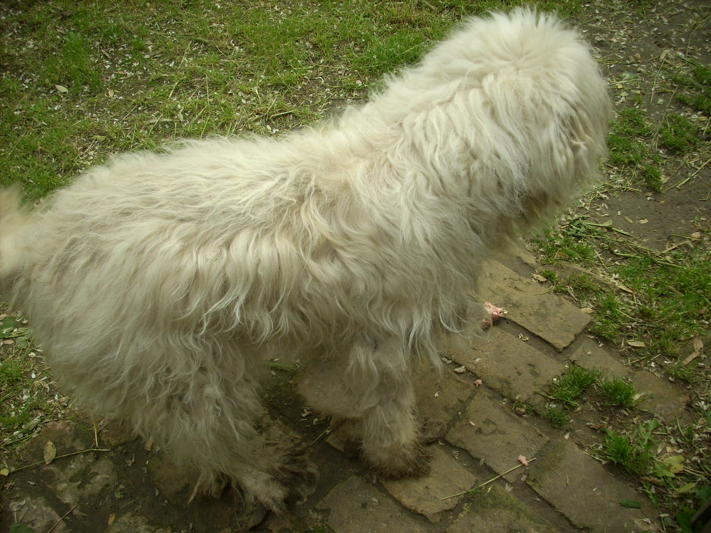23-20140527pannika7_0